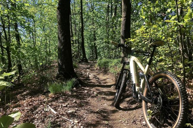 E-bikes - 3