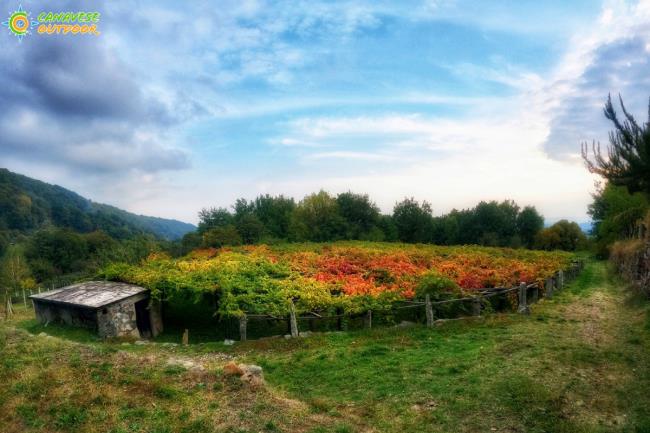 24-25 ottobre Via Francigena Morenico Canavesana - 2