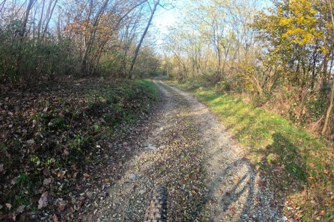 Domenica 26/11/23 Tour guidato in  E-BIKE: Riserva Naturale della Bessa - 3