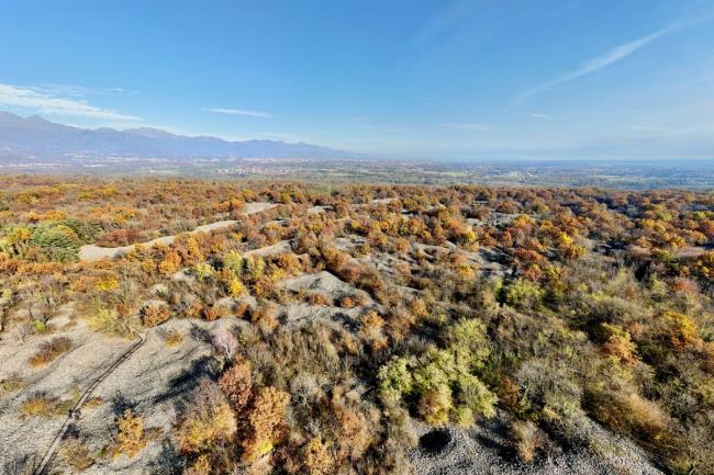 Domenica 26/11/23 Tour guidato in  E-BIKE: Riserva Naturale della Bessa - 8