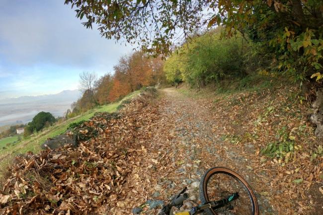Sabato 6 aprile, Tour guidato in E-BIKE: la Serra di Ivrea - 2