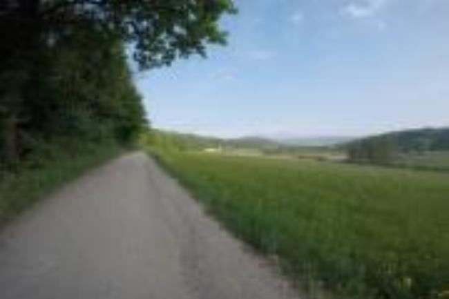 Anello del lago di Viverone - Short - 1
